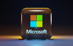 Microsoft Windows Vulnerability